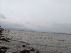 -深圳湾公园(南山区)