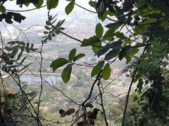 -鼎湖山风景区