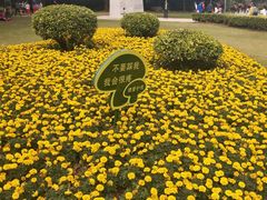 -南宁南湖公园