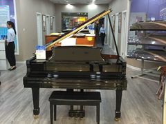 -爱琴海音乐培训·全品类乐器销售体验中心