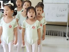 -西安小天鹅艺术团(曲江Alice店)