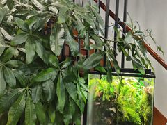 -繁花足道(梅江店)