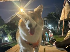 -凤翔首邑温泉度假村