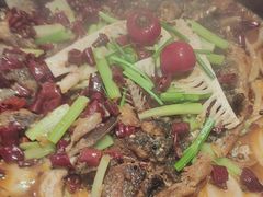 -老板恋上鱼(恒隆广场店)