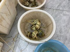 -蟹状元大闸蟹·年货·粽子(成都成华店)