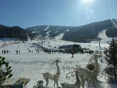 -中旅松花湖滑雪场
