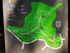 -上海佘山国家森林公园天马山园