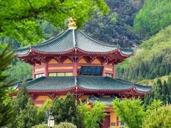 -龙口南山旅游景区