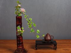 -荷兰布尔玛国际花艺学院