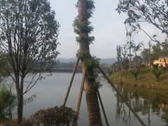 -枫香湖儿童公园