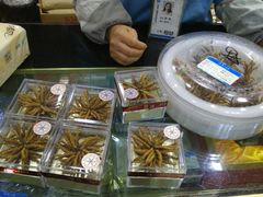 -上海市第一医药商店(南京东路店)