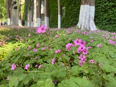 -苏州大学(天赐庄校区)