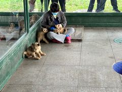 -秦皇岛野生动物园
