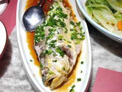 -点都德(锦粤壹号IFS国金店)