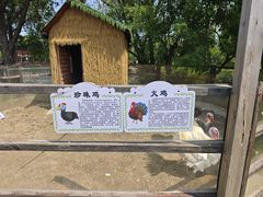 -长兴太湖图影湿地文化园
