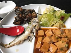 -温州中升华奥奥迪4S店(塘下店)