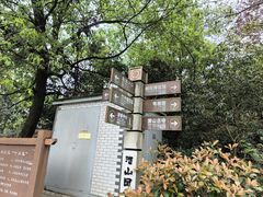 -潜山国家森林公园