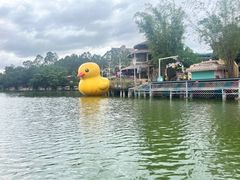 -观澜湖旅游度假区