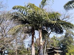 -昆明市金殿名胜区