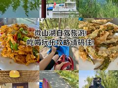 -微山湖红荷湿地景区
