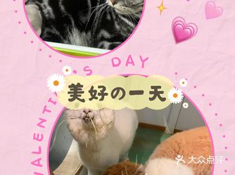 带孩子来体验一次宠物互动体验馆。
