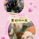 带孩子来体验一次宠物互动体验馆。
