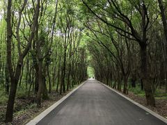 -同里国家湿地公园
