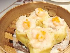 -粤点越有·茶点·粤菜(樵岭国际店)