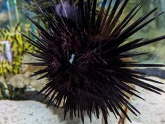 -太平洋海底世界