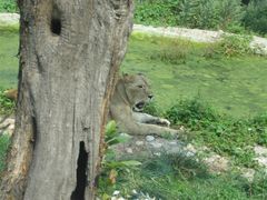 -西安秦岭野生动物园