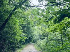 -小格里自然风景区