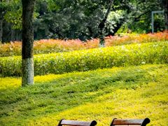 -重庆中央公园(渝北区)