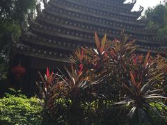 -广西壮族自治区博物馆