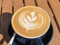 -Torch Coffee 炬点咖啡