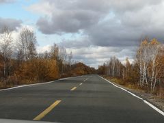 -莫尔道嘎国家森林公园