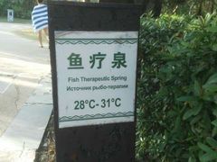 -三亚珠江南田温泉度假区