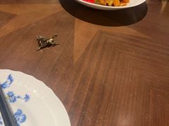 -奉天小馆·非遗东北菜(沈阳万象城店)