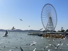 -蠡湖大桥公园