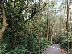 -梧桐山风景名胜区