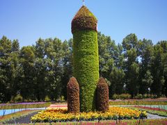 -金塔沙漠胡杨林景区