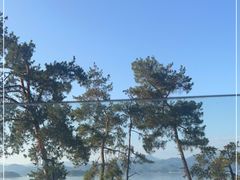 -宝荣鱼馆·临湖之宴(千岛湖店)