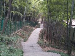 -上海佘山国家森林公园西佘山园