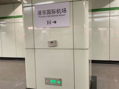 -上海浦东国际机场-T2航站楼