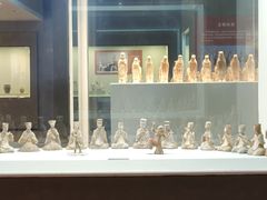 -安阳博物馆