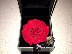 -ROSEONLY诺誓(沈阳万象城店)