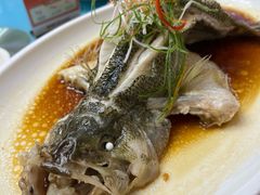 -普天和酒楼(天津之眼店)