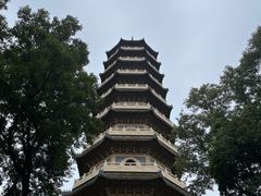 -灵谷景区