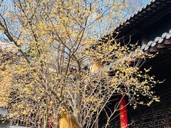 -灵谷景区