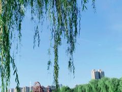 -西安汉城湖景区