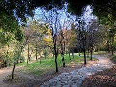 -贵阳市花溪国家城市湿地公园